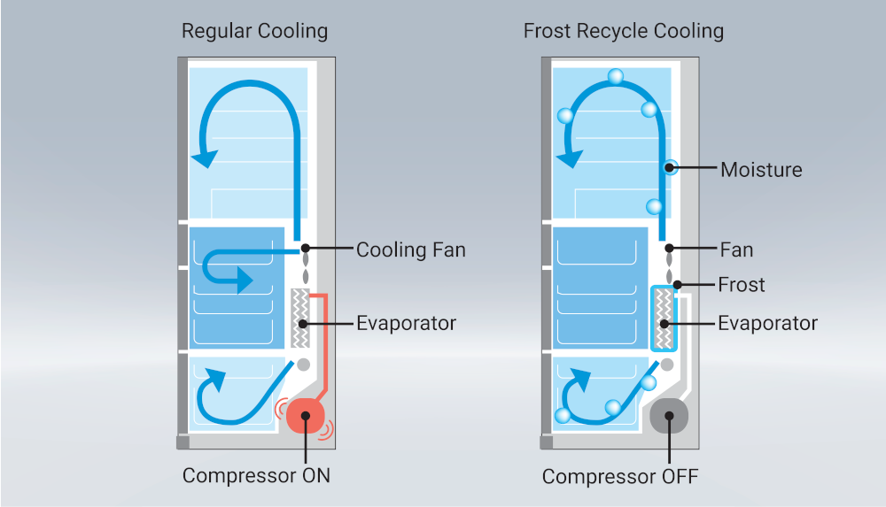 Hitachi Refrigerator
